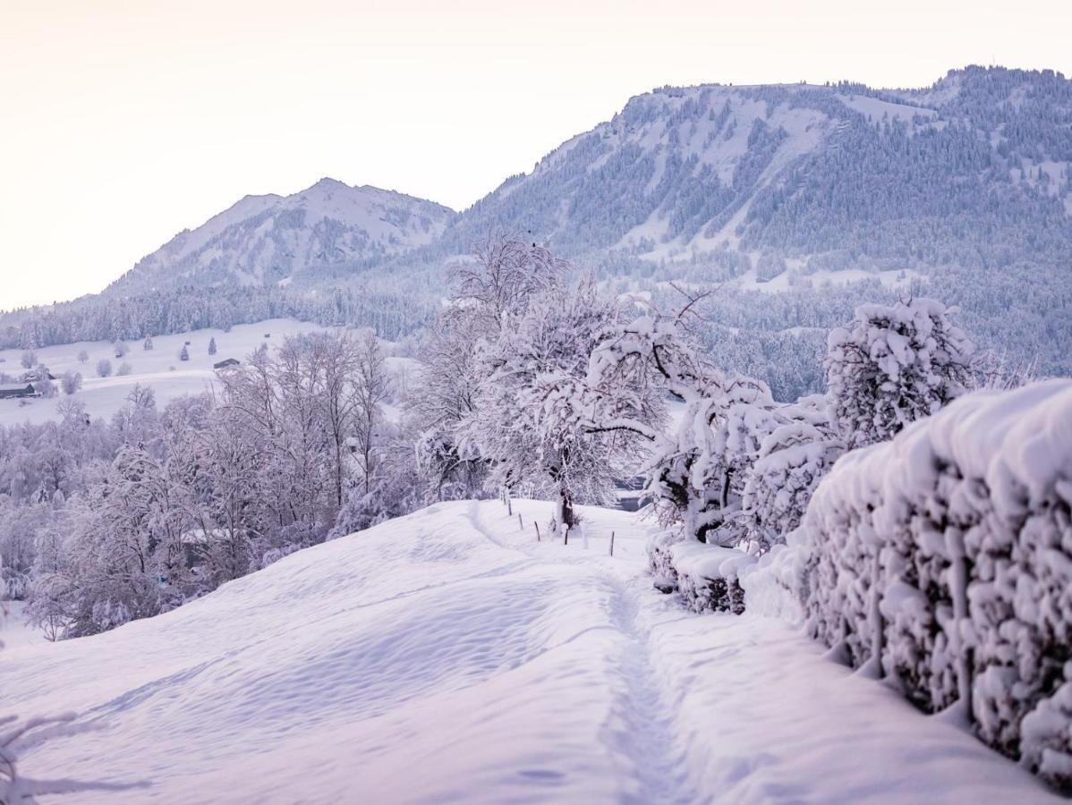 Ninis - Ferienhaus Im Bregenzerwald Egg Zewnętrze zdjęcie
